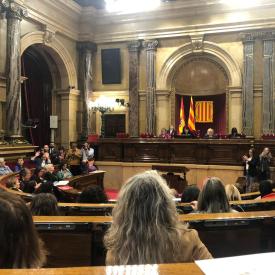 Proposem mesures contra les violències masclistes al Parlament