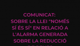 Sobre la Llei "Només Sí és Sí" en relació a l'alarma generada sobre la reducció de penes